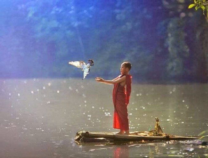 Los4PrincipalesMiedos