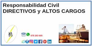 IconoCatSeguros201808Agosto_21ResponsabilidadCivilDirectivosAltosCargos2