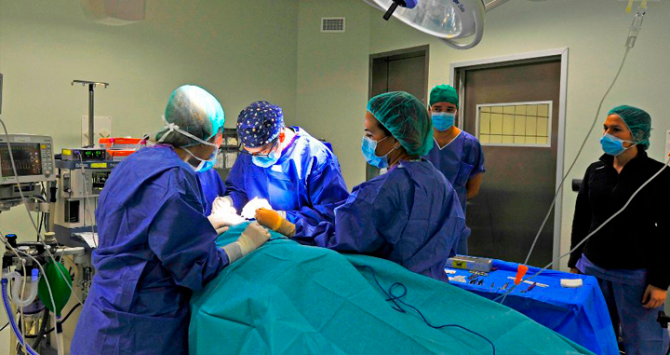 ListasDeEspera20181223