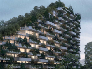 PrimeraCiudadForestal20181231