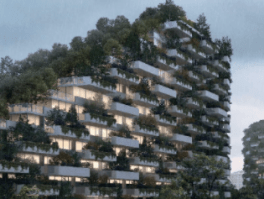 PrimeraCiudadForestal20181231