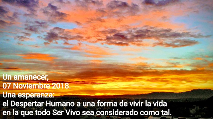 unamanecerunaesperanza20181107