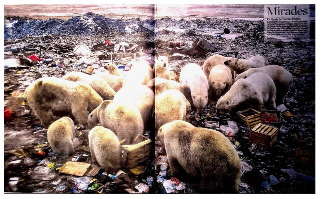 OsosComiendoBasura20190307